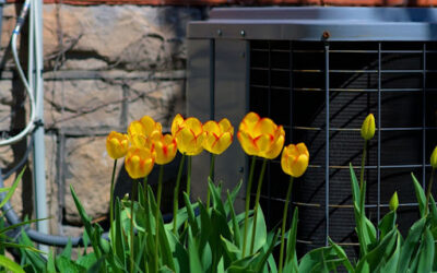 Spring Maintenance Tips for Your HVAC System